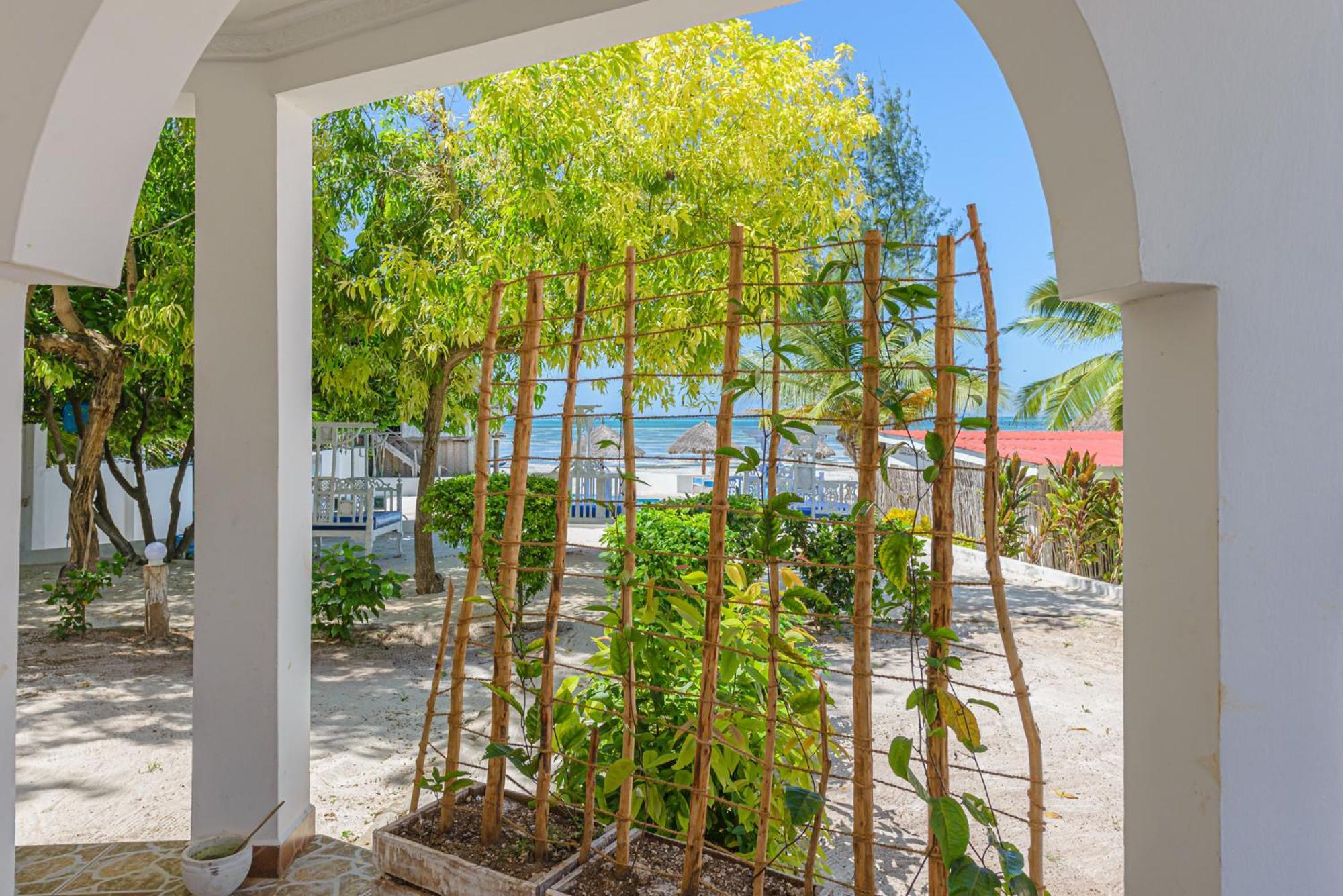 Marea Boutique Hotel Jambiani  Dış mekan fotoğraf